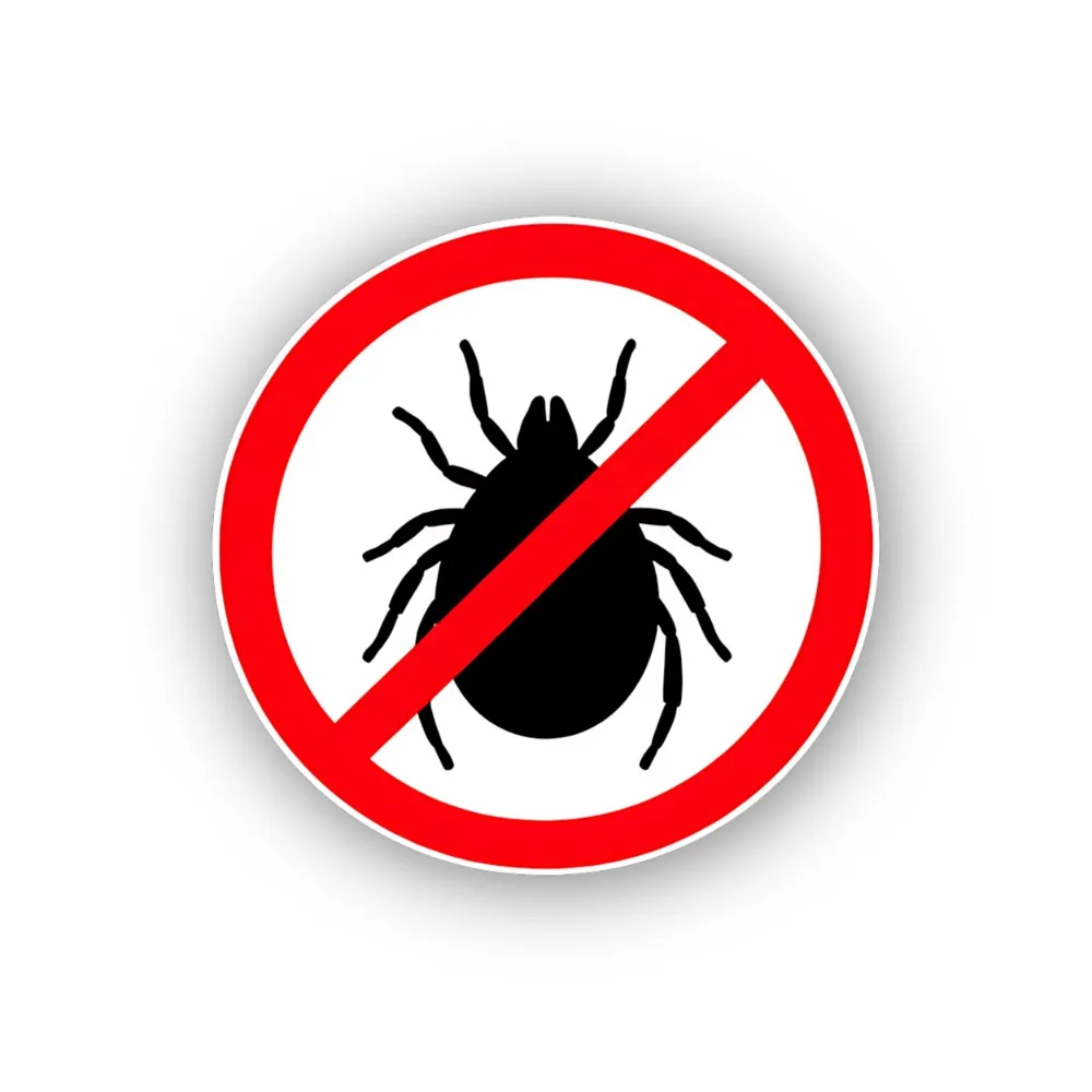 No Spiders