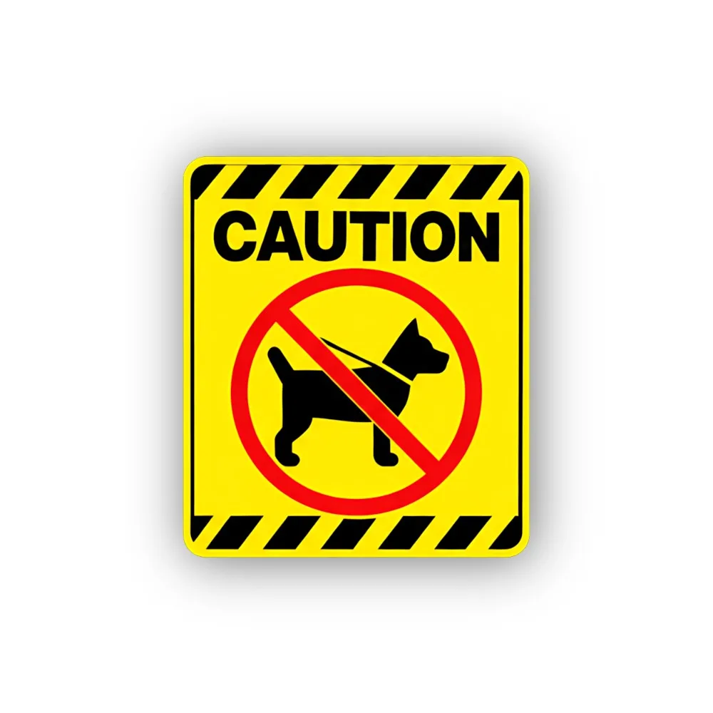 No Safety Shoes