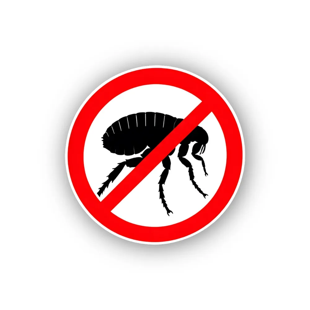 No Fleas
